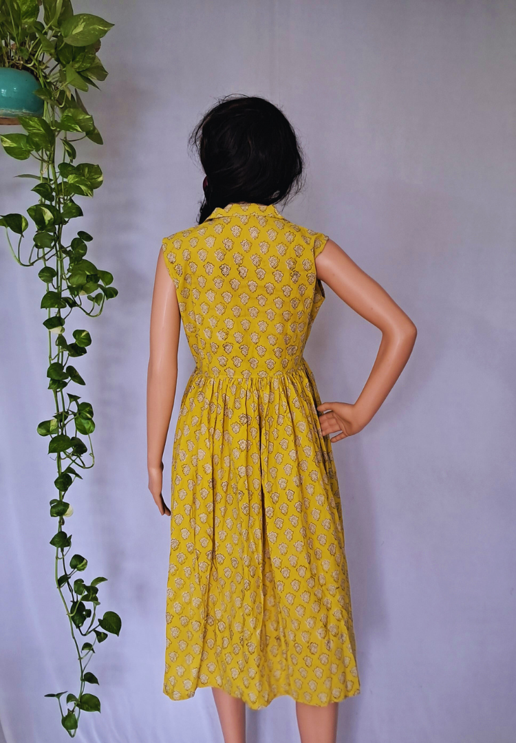 Bagru Hand Block Cotton Dress