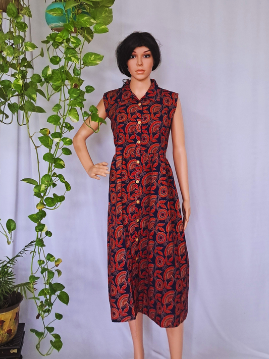 Bagru Hand Block Cotton Dress
