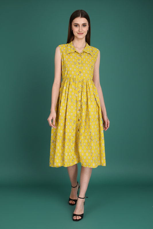 Bagru Hand Block Cotton Dress