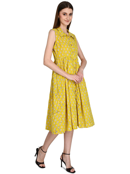 Bagru Hand Block Cotton Dress