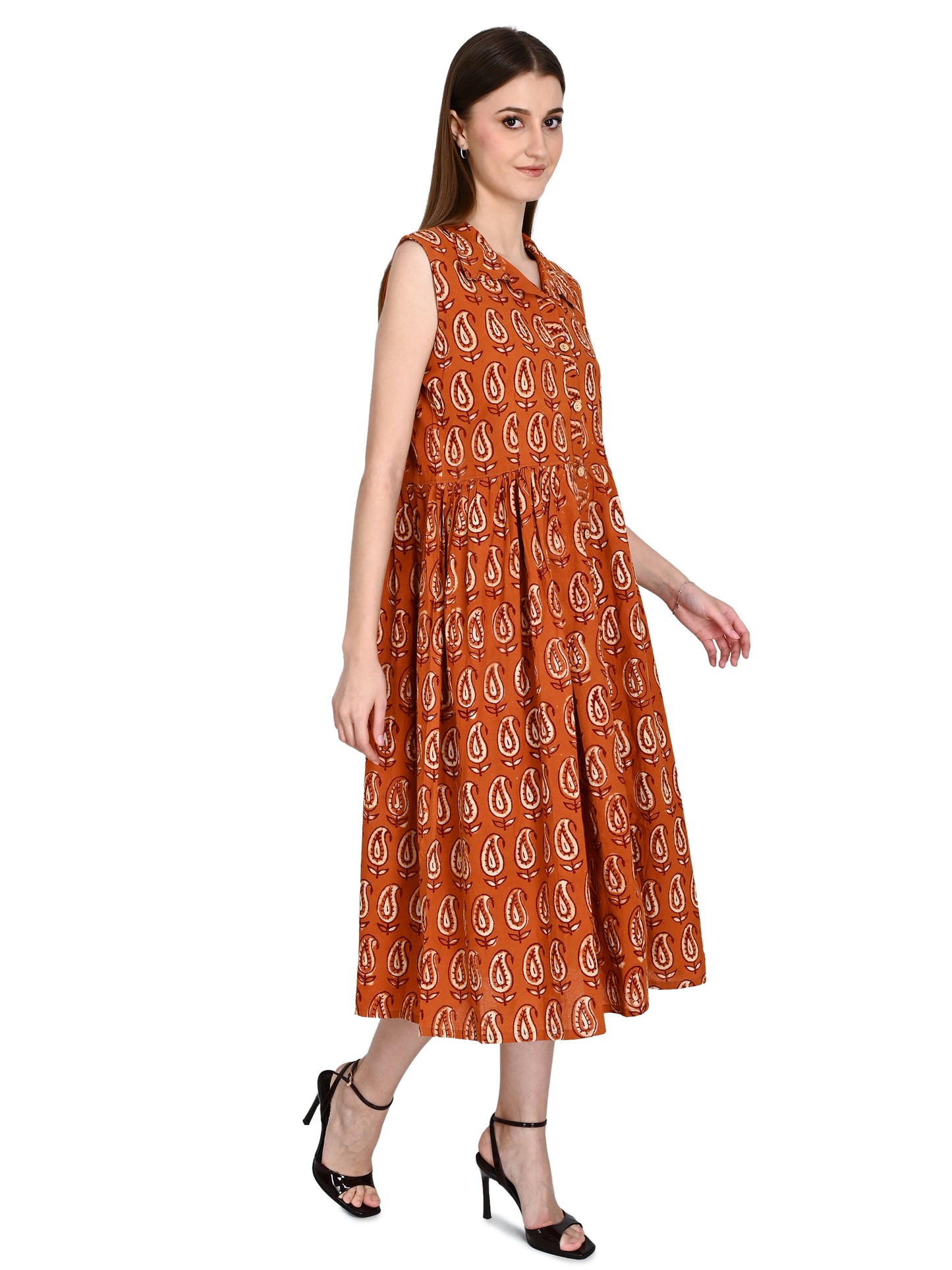 Bagru Hand Block Cotton Dress